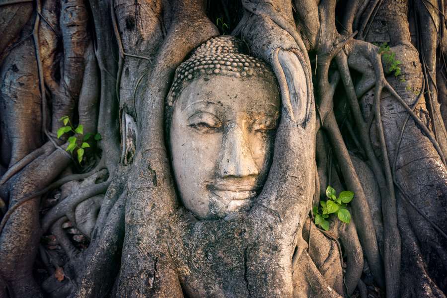 Ayutthaya tour