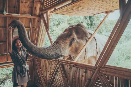 Jungle Wildlife Expedition Chiang Mai